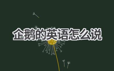 企鹅的英语怎么说