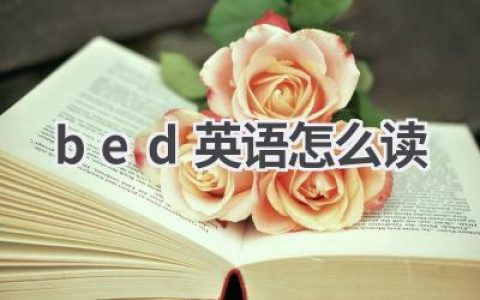 bed英语怎么读