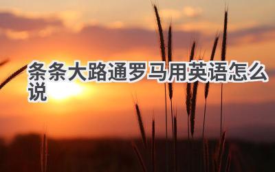 条条大路通罗马用英语怎么说