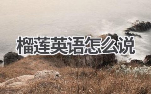 榴莲英语怎么说