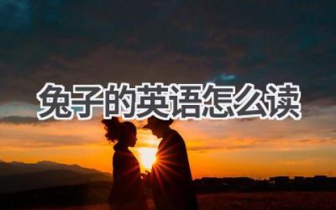 兔子的英语怎么读