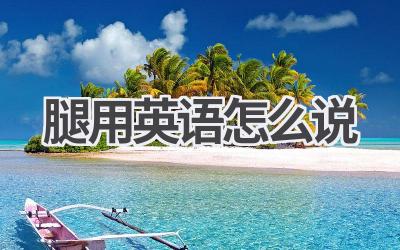 腿用英语怎么说