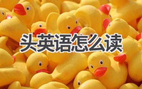 头英语怎么读