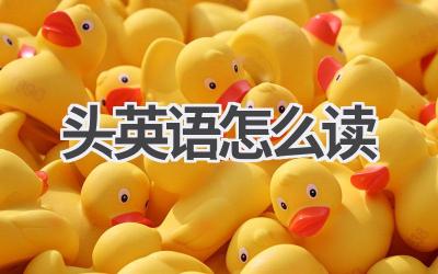 头英语怎么读