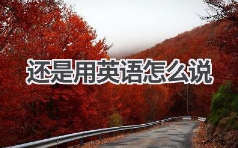 还是用英语怎么说