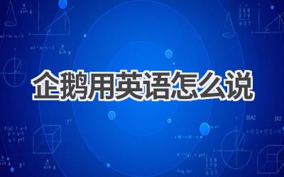 企鹅用英语怎么说