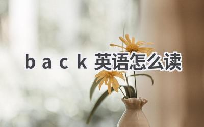 back英语怎么读