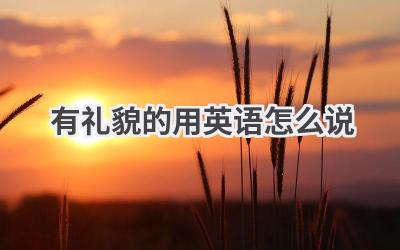 有礼貌的用英语怎么说