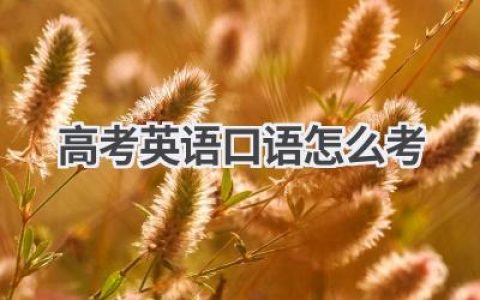 高考英语口语怎么考