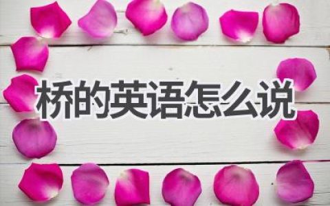 桥的英语怎么说