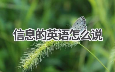 信息的英语怎么说