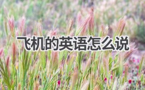 飞机的英语怎么说