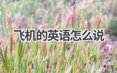 飞机的英语怎么说