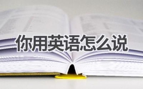 你用英语怎么说