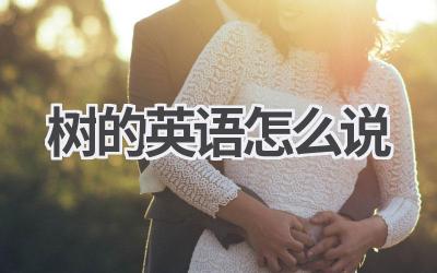 树的英语怎么说