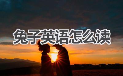 兔子英语怎么读