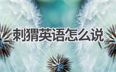 刺猬英语怎么说