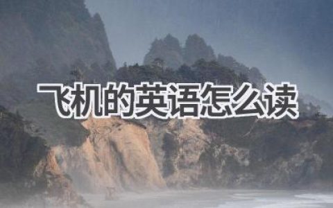 飞机的英语怎么读