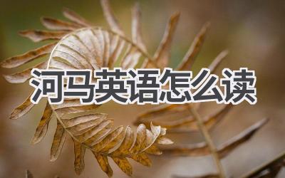 河马英语怎么读