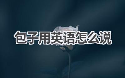 包子用英语怎么说