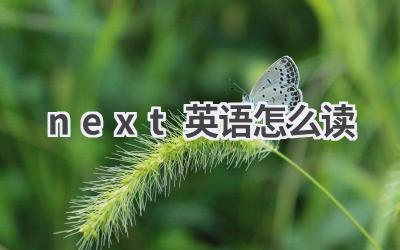 next英语怎么读