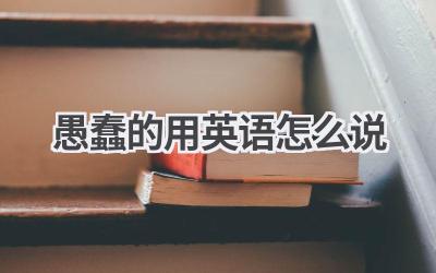 愚蠢的用英语怎么说