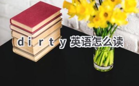 dirty英语怎么读