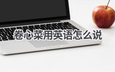 卷心菜用英语怎么说