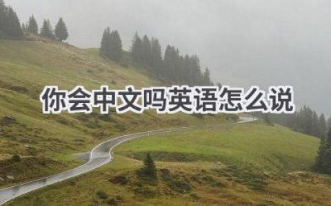 你会中文吗英语怎么说