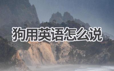 狗用英语怎么说