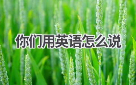 你们用英语怎么说