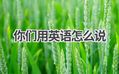 你们用英语怎么说