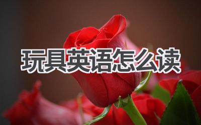 玩具英语怎么读