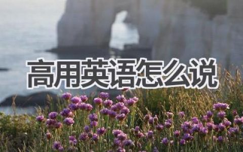 高用英语怎么说