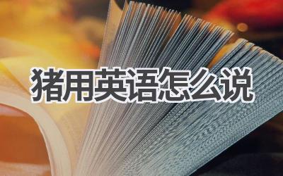 猪用英语怎么说