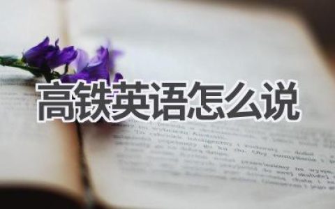 高铁英语怎么说