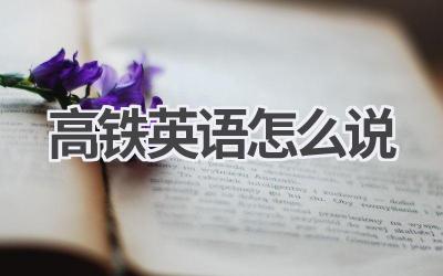 高铁英语怎么说