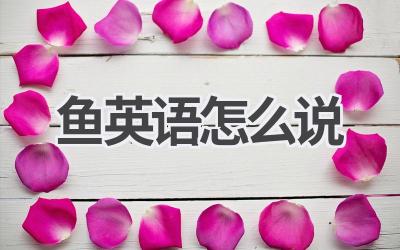 鱼英语怎么说