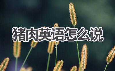 猪肉英语怎么说