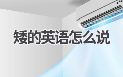 矮的英语怎么说