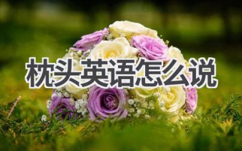 枕头英语怎么说