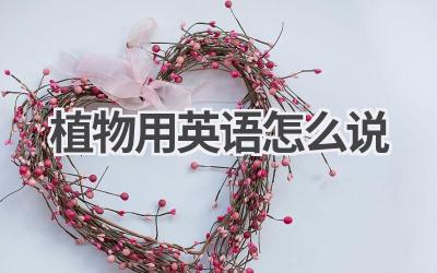 植物用英语怎么说