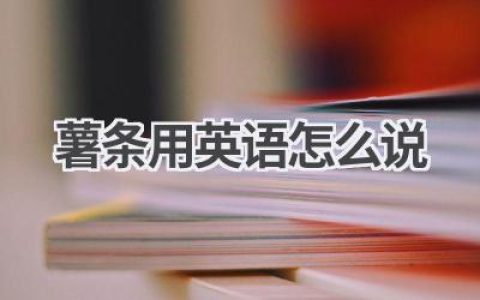 薯条用英语怎么说