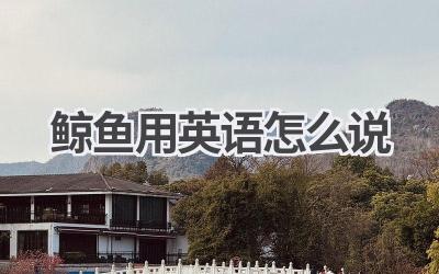 鲸鱼用英语怎么说