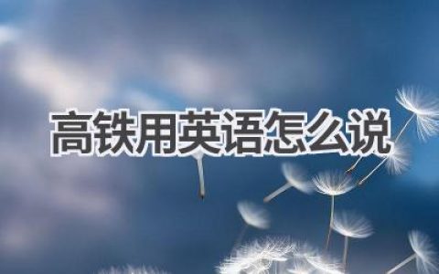 高铁用英语怎么说