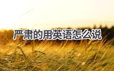 严肃的用英语怎么说