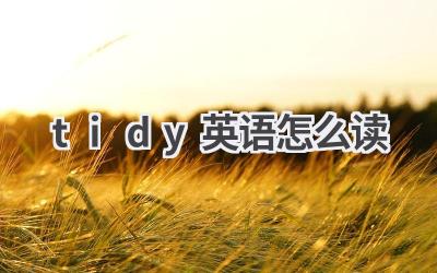 tidy英语怎么读