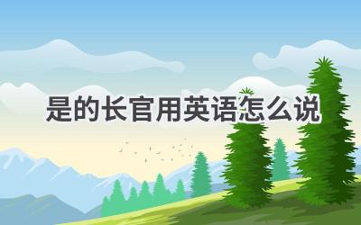 是的长官用英语怎么说