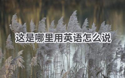 这是哪里用英语怎么说
