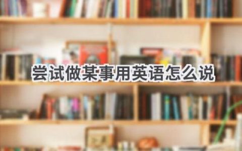 尝试做某事用英语怎么说
